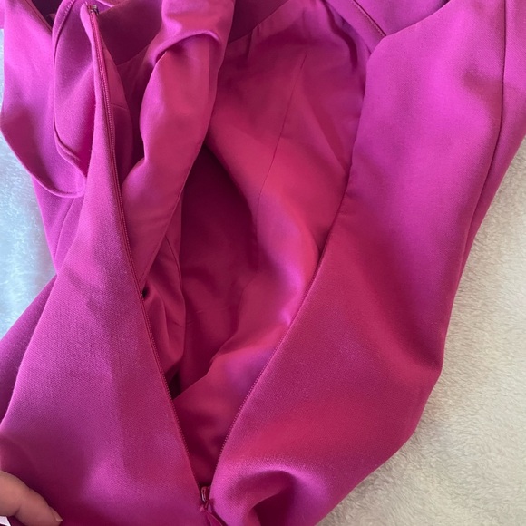 Likely Fuchsia Ruffle Mini Dress - Picture 8 of 10